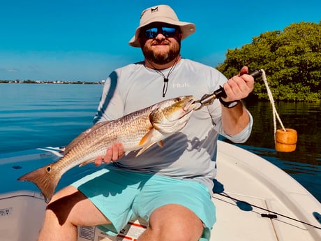 Redfish Fishing in Fort Myers Beach, Florida
