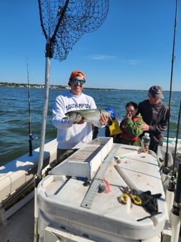 Fishing in Port Jefferson, New York