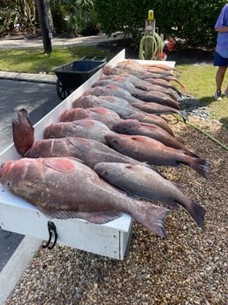 Fishing in Sarasota, Florida