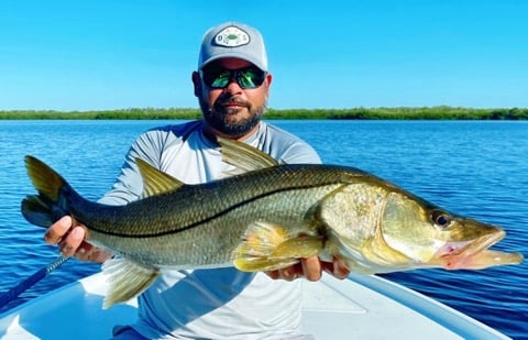 Snook Fishing in Tavernier, Florida