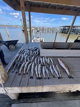 Fishing in Boothville-Venice, Louisiana