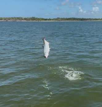Fishing in Marco Island, Florida