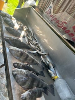 Fishing in Biloxi, Mississippi