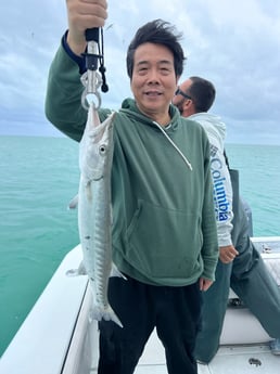 Barracuda Fishing in Miami, Florida
