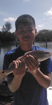 Redfish Fishing in Melbourne, Florida