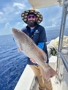 Fishing in Sarasota, Florida