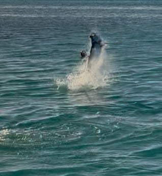 Fishing in Key Largo, Florida