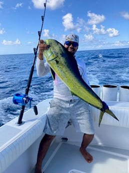 Mahi Mahi / Dorado Fishing in West Palm Beach, Florida