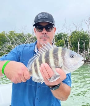 Sheepshead Fishing in Tavernier, Florida