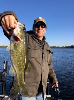 Largemouth Bass Fishing in Lake Fork, Texas