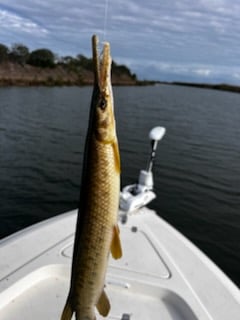 Fishing in Miami, Florida