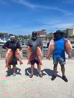 Red Snapper Fishing in Clearwater, Florida