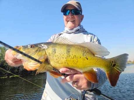 Fishing in Fort Lauderdale, Florida