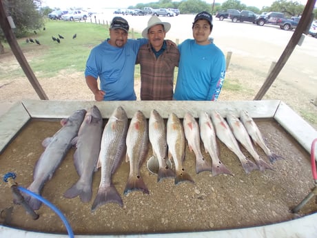 Blue Catfish, Redfish Fishing in San Antonio, Texas