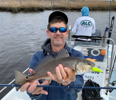 Redfish Fishing in Trails End Road, Wilmington, N, North Carolina