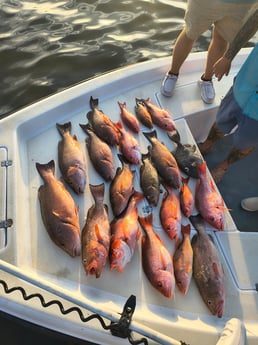 Fishing in Callaway, Florida