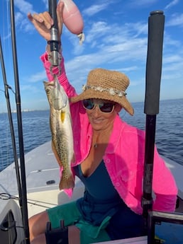 Speckled Trout Fishing in Sarasota, Florida