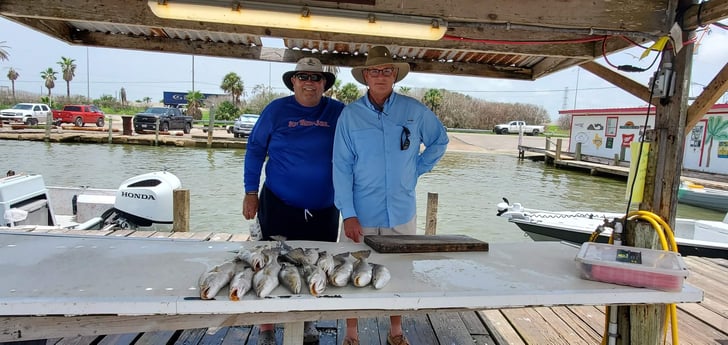 Speckled Trout / Spotted Seatrout fishing in Galveston, Texas