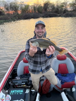 Fishing in Alba, Texas