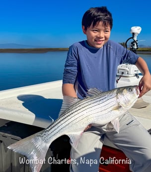 Fishing in Napa, California