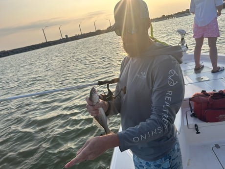 Speckled Trout Fishing in League City, Texas