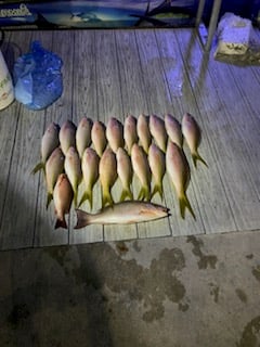 Fishing in Pompano Beach, Florida