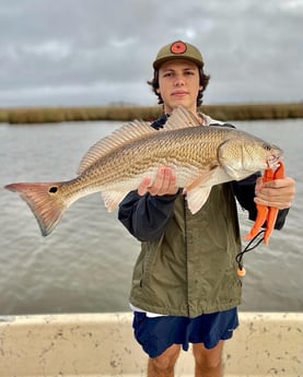 Black Drum fishing in Saint Bernard, Louisiana
