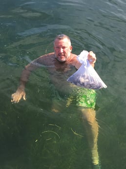 Scallop Fishing in Crystal River, Florida