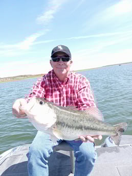 Largemouth Bass fishing in Zapata, Texas