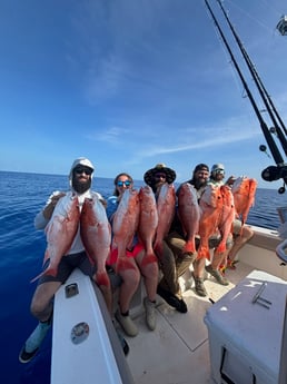 Fishing in Sarasota, Florida