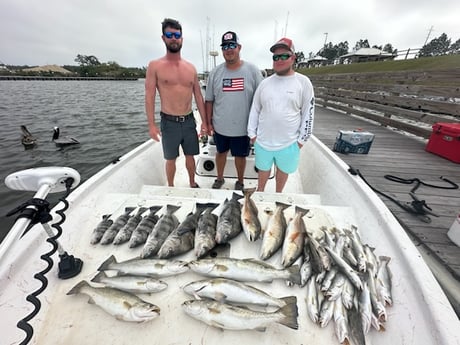 Fishing in Gulf Shores, Alabama
