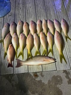 Fishing in Coconut Creek, Florida