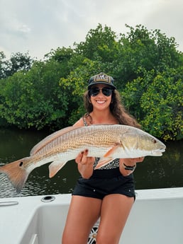 Fishing in Tampa, Florida