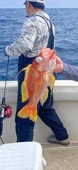 Rockfish Fishing in Freeport, Texas