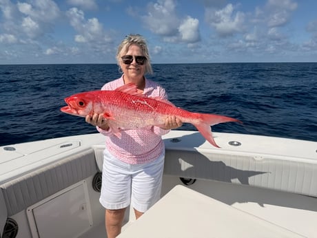 Fishing in Marathon, Florida