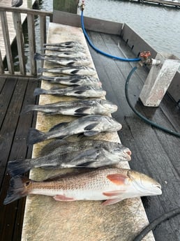 Fishing in Rockport, Texas