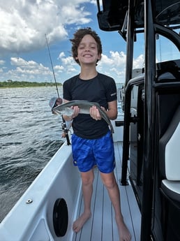 Fishing in Mount Pleasant, South Carolina