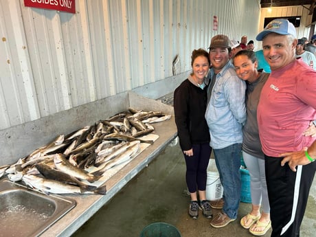 Speckled Trout / Spotted Seatrout Fishing in Golden Meadow, Louisiana