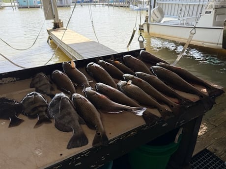 Fishing in Buras, Louisiana
