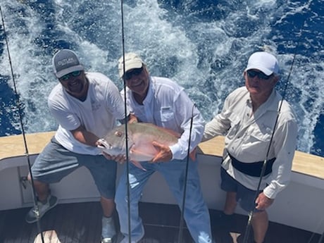 Mutton Snapper fishing in Marathon, Florida