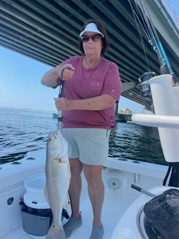 Fishing in Orange Beach, Alabama