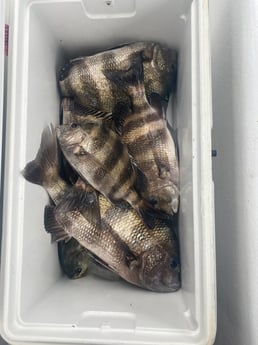 Fishing in Destin, Florida