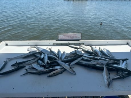Fishing in Foley, Alabama