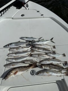 Fishing in Crystal River, Florida