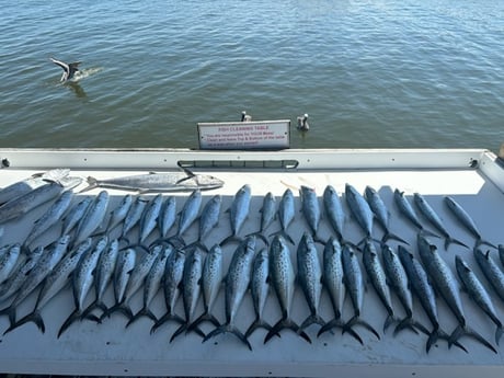Fishing in Foley, Alabama