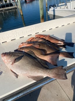 Fishing in Key West, Florida