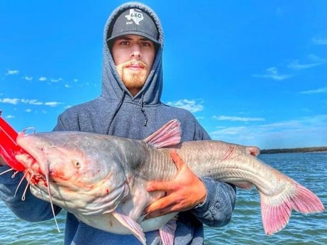 Blue Catfish Fishing in Dallas, Texas