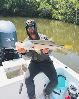 Fishing in Tampa, Florida