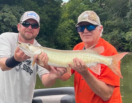 Muskie fishing in Knoxville, Tennessee