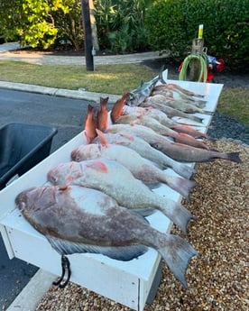 Fishing in Sarasota, Florida